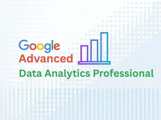 Google Data Analytics
